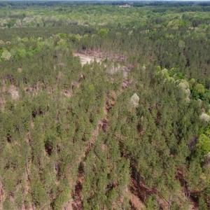 Photo #2 of Winningham Rd, Crewe, VA 75.5 acres