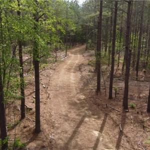 Photo #3 of Winningham Rd, Crewe, VA 75.5 acres