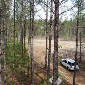 Photo #4 of Winningham Rd, Crewe, VA 75.5 acres