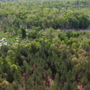 Photo #6 of Winningham Rd, Crewe, VA 75.5 acres