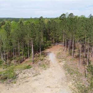Photo #8 of Winningham Rd, Crewe, VA 75.5 acres