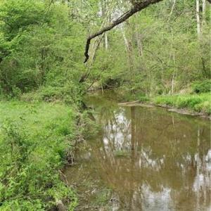 Photo #9 of Winningham Rd, Crewe, VA 75.5 acres