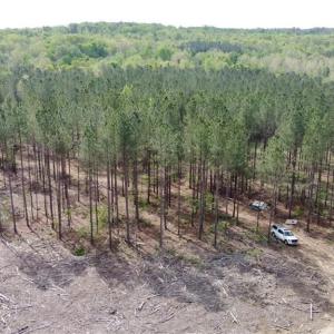 Photo #5 of Winningham Rd, Crewe, VA 75.5 acres