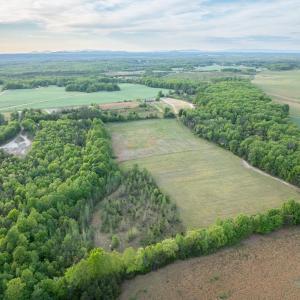 Photo #11 of 148 Mt Zion Rd, Phenix, VA 29.3 acres