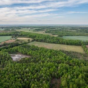 Photo #13 of 148 Mt Zion Rd, Phenix, VA 29.3 acres