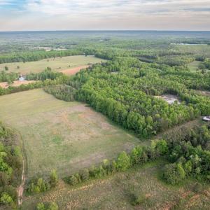 Photo #7 of 148 Mt Zion Rd, Phenix, VA 29.3 acres