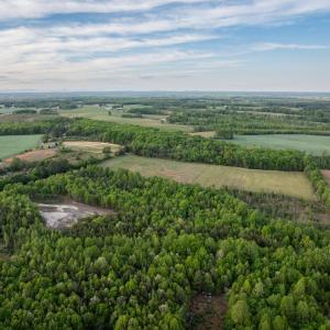 Photo #13 of 148 Mt Zion Rd, Phenix, VA 29.3 acres