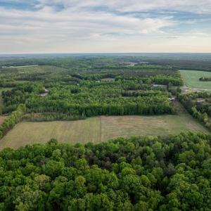 Photo #9 of 148 Mt Zion Rd, Phenix, VA 29.3 acres