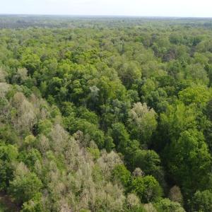 Photo #10 of Namozine Rd, Amelia, VA 151.0 acres