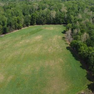 Photo #11 of Namozine Rd, Amelia, VA 151.0 acres