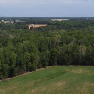 Photo #12 of Namozine Rd, Amelia, VA 151.0 acres