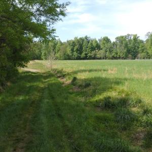 Photo #2 of Namozine Rd, Amelia, VA 151.0 acres
