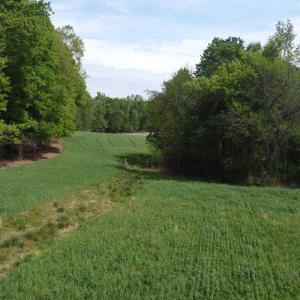Photo #5 of Namozine Rd, Amelia, VA 151.0 acres