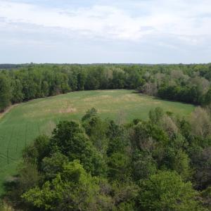 Photo #6 of Namozine Rd, Amelia, VA 151.0 acres