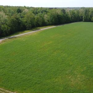 Photo #7 of Namozine Rd, Amelia, VA 151.0 acres