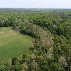 Photo #8 of Namozine Rd, Amelia, VA 151.0 acres