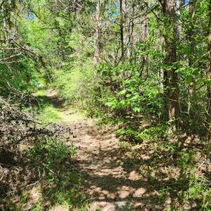 Photo #10 of 0 MILL-SCOTT ROAD, Farmville, VA 2.0 acres