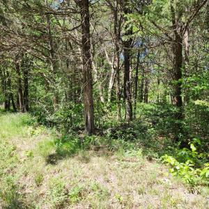 Photo #2 of 0 MILL-SCOTT ROAD, Farmville, VA 2.0 acres