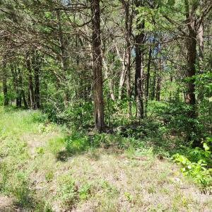 Photo #3 of 0 MILL-SCOTT ROAD, Farmville, VA 2.0 acres