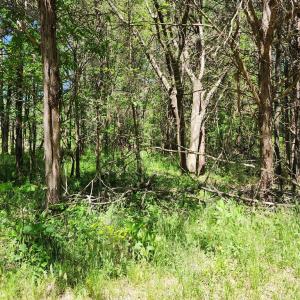 Photo #4 of 0 MILL-SCOTT ROAD, Farmville, VA 2.0 acres