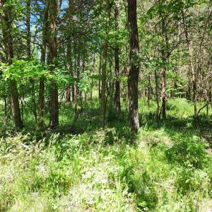 Photo #5 of 0 MILL-SCOTT ROAD, Farmville, VA 2.0 acres