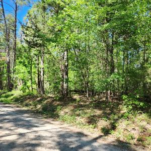 Photo #6 of 0 MILL-SCOTT ROAD, Farmville, VA 2.0 acres