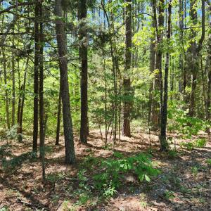 Photo #7 of 0 MILL-SCOTT ROAD, Farmville, VA 2.0 acres