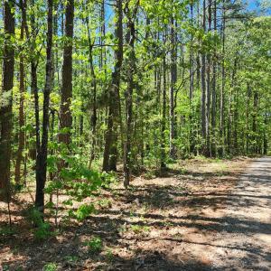 Photo #8 of 0 MILL-SCOTT ROAD, Farmville, VA 2.0 acres