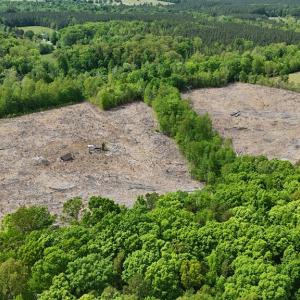 Photo #2 of Red Bank Rd, Virgilina, VA 25.3 acres