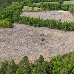 Photo #3 of Red Bank Rd, Virgilina, VA 25.3 acres