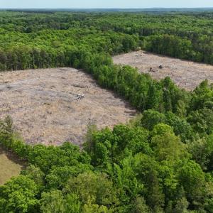 Photo #4 of Red Bank Rd, Virgilina, VA 25.3 acres