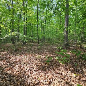 Photo #4 of 627 Axtell Rd, Howardsville, VA 6.9 acres