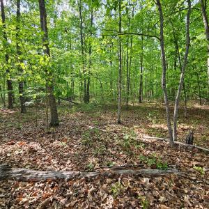 Photo #5 of 627 Axtell Rd, Howardsville, VA 6.9 acres