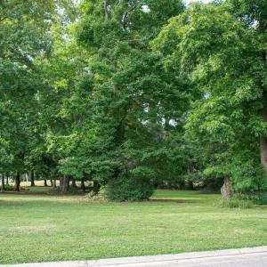 Photo #4 of 110 HERON POINTE DR, CAPE CHARLES, VA 0.5 acres