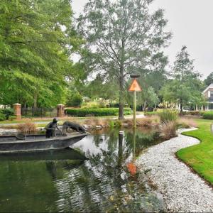 Photo #7 of 110 HERON POINTE DR, CAPE CHARLES, VA 0.5 acres
