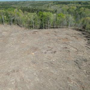 Photo #17 of Meherrin Road, Meherrin, VA 17.7 acres