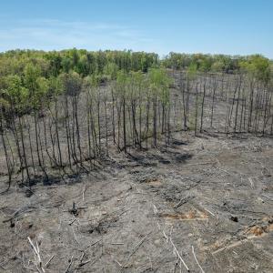 Photo #18 of Meherrin Road, Meherrin, VA 17.7 acres