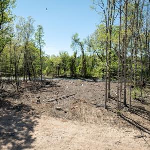 Photo #23 of Meherrin Road, Meherrin, VA 17.7 acres