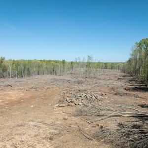 Photo #25 of Meherrin Road, Meherrin, VA 17.7 acres