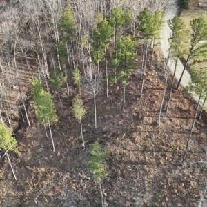 Photo #12 of Amelia Springs, Jetersville, VA 20.0 acres