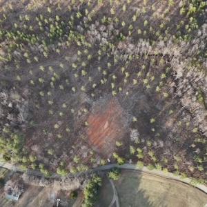Photo #16 of Amelia Springs, Jetersville, VA 20.0 acres