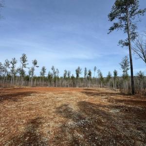 Photo #18 of Amelia Springs, Jetersville, VA 20.0 acres