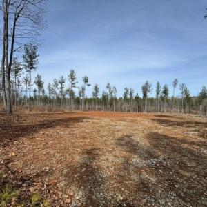 Photo #19 of Amelia Springs, Jetersville, VA 20.0 acres