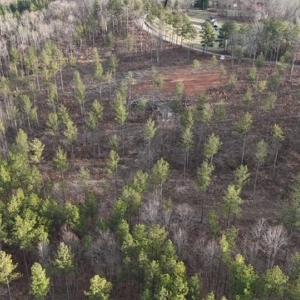 Photo #5 of Amelia Springs, Jetersville, VA 20.0 acres