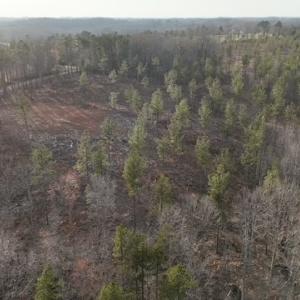 Photo #7 of Amelia Springs, Jetersville, VA 20.0 acres
