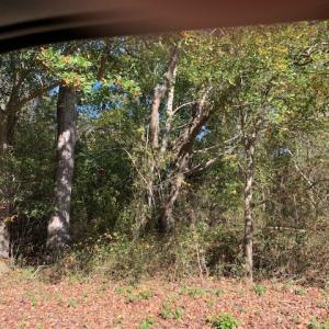 Photo #2 of NELSON RD, NELSONIA, VA 0.5 acres