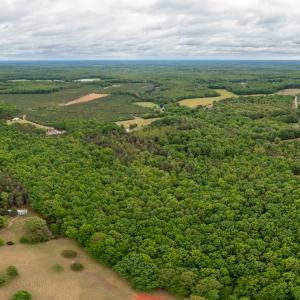 Photo #3 of ELAM RD, Pamplin, VA 6.0 acres