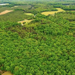 Photo #4 of ELAM RD, Pamplin, VA 6.0 acres
