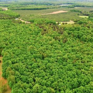 Photo #5 of ELAM RD, Pamplin, VA 6.0 acres