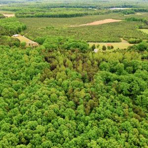Photo #7 of ELAM RD, Pamplin, VA 6.0 acres